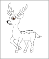 Deer