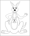 Kangaroo