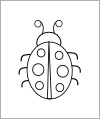 Ladybird