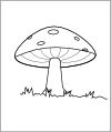 Mushroom